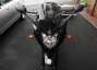 Picture 3 - Yamaha XJ600S Diversion 2014 motorbike