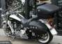 Picture 8 - Harley-Davidson 2012 Softail Deluxe FLSTN Big Spec Stage 1 motorbike