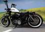 Picture 4 - Harley-Davidson XL1200 X Forty Eight 48, Custom Paint, Extras motorbike