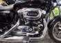 Picture 4 - Harley-Davidson 1200 SPORSTER 2014 motorbike