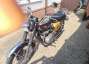 Picture 5 - BSA A65 Lightning, in colour Gold motorbike