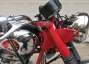 Picture 6 - 1968 BSA A65 650 Lightning motorbike
