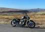 Picture 7 - AJS Bobber 125cc - Black - Hard-Tail - 700 Miles, Awesome Full-Size Custom motorbike