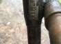 Picture 5 - Ariel VB600 1955 project barn find motorbike