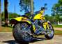 Picture 5 - 2009 Harley-Davidson Softail CVO Springer FXSTSSE3 motorbike