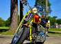 Picture 6 - 2009 Harley-Davidson Softail CVO Springer FXSTSSE3 motorbike