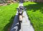 Picture 4 - 1939 BSA WM20 500cc Classic Motorcycle motorbike