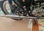 Picture 5 - BSA Gold Star DBD 34 1955 motorbike