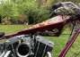 Picture 4 - Arlen Ness Digger Chopper Ironhead Sportster motorbike