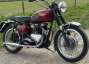 Picture 3 - 1955 Triumph T110 / TR6 style 650cc, good runner with V5C doc motorbike