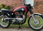 Picture 4 - 1954 Triton, Triumph engine, Norton wideline frame, great runner with V5C motorbike