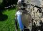 Picture 7 - 1950 BSA A10 GOLDEN FLASH 650CC Classic Motorcycle motorbike