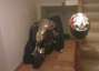 Picture 10 - Suzuki gsxr 1000 show bike custom motorbike