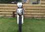 Picture 2 - Gas Gas EC 300 Racing 2012 motorbike