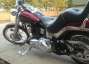 Picture 4 - 2007 Harley-Davidson FXST Softail Custom 1584cc Cruiser in red motorbike