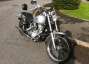 Picture 11 - Harley-Davidson Softail Standard 2002 model motorbike