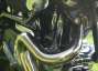 Picture 10 - 2002 Buell M2 Cyclone Custom motorbike