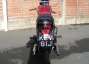 Picture 2 - Triumph T120 totally restored motorbike