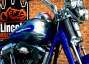 Picture 3 - 2009 Harley-Davidson FXSTSSE CVO Softail Springer Screamin Eagle motorbike