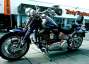 Picture 7 - 2009 Harley-Davidson FXSTSSE CVO Softail Springer Screamin Eagle motorbike