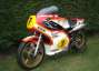 Picture 4 - 1976 Works Texaco Heron Team Suzuki RG500 Mk1 XR14 motorbike