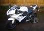 Picture 4 - Triumph DAYTONA 675 2013 White & Blue Low Miles (230) Mint Condition motorbike