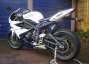 Picture 6 - Triumph DAYTONA 675 2013 White & Blue Low Miles (230) Mint Condition motorbike