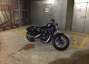 Picture 4 - Harley-Davidson Sportster 883 Iron motorbike