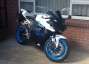 Picture 3 - 2009 Honda CBR 600 RR-9 in White, Limited Edition motorbike