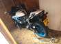 Picture 7 - 2009 Honda CBR 600 RR-9 in White, Limited Edition motorbike