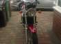 Picture 3 - 2002 Triumph Thunderbird Marron motorbike