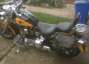 Picture 8 - Harley-Davidson FLSTF 1450 twin cam soft tail motorbike