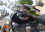 Picture 3 - 2006 Harley-Davidson Softail Deluxe FLSTN - Part X & Finance - REDUCED motorbike