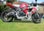 Picture 5 - 2008 Suzuki GSXR 600 K7 in Red & White Lucky Strike Edition motorbike