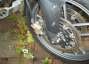 Picture 9 - Triumph Tiger 800 Phantom Black 2011 motorbike