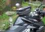 Picture 10 - Triumph Tiger 800 Phantom Black 2011 motorbike