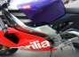 Picture 11 - Aprilia RS 250 Loris Reggiani Replica motorbike