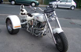Harley Davidson Trike Softail 2006 motorbike