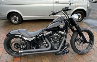 Harley Davidson Softail Slim Fls 103 motorbike