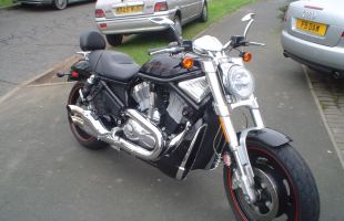 Harley Davidson STREET ROD VRSCR  Black motorbike