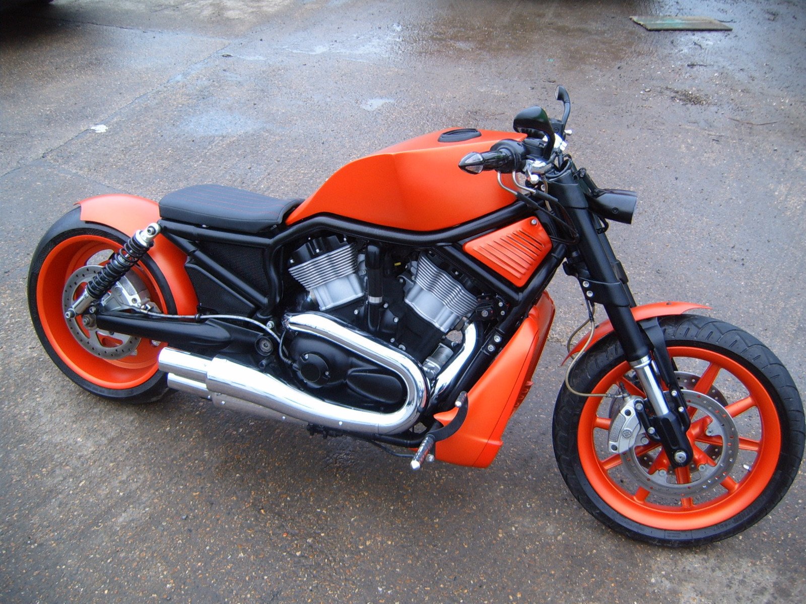 Harley Davidson Vrscr Street Rod V Rod Custom Chopper Night Rod Muscle