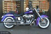 Picture 2 - Harley-Davidson 2014 FLSTN Softail Deluxe Hard Candy Custom Voodoo Purple motorbike