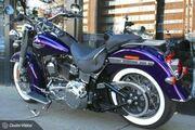 Picture 8 - Harley-Davidson 2014 FLSTN Softail Deluxe Hard Candy Custom Voodoo Purple motorbike