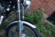 Picture 2 - Harley-Davidson XL1200C Sportster Custom 100th Anniversary, 1500 Miles motorbike