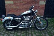 Picture 7 - Harley-Davidson XL1200C Sportster Custom 100th Anniversary, 1500 Miles motorbike