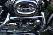 Picture 8 - Harley-Davidson XL1200C Sportster Custom 100th Anniversary, 1500 Miles motorbike