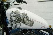 Picture 6 - 2006 Harley-Davidson 1500 Softail Custom Bobber motorbike