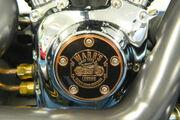 Picture 11 - 2006 Harley-Davidson 1500 Softail Custom Bobber motorbike