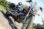 Picture 8 - Harley-Davidson FXDWG Dyna Wide Glide Limited Edition motorbike