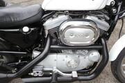 Picture 9 - 2001 Harley-Davidson XL1200S Sportster Sport - 7141 Miles - Excellent motorbike